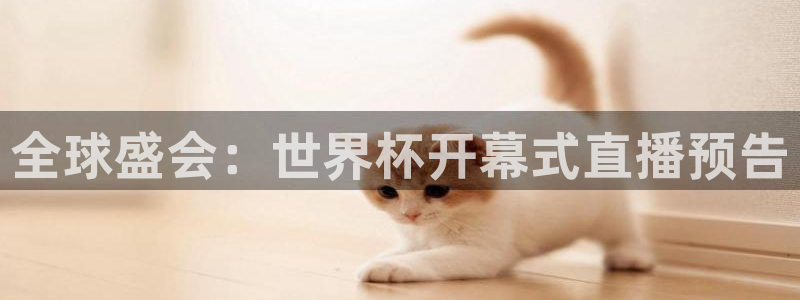 世界杯比赛时间:全球盛会:世界杯开幕式直播预告