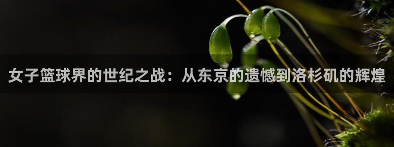 世界杯亚洲预选赛18强赛程:女子篮球界的世纪之战:从东京的遗憾到洛杉矶的辉煌