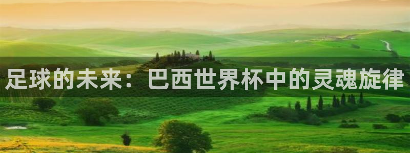 2026世界杯小组赛赛程时间表:足球的未来:巴西世界杯中的灵魂旋律