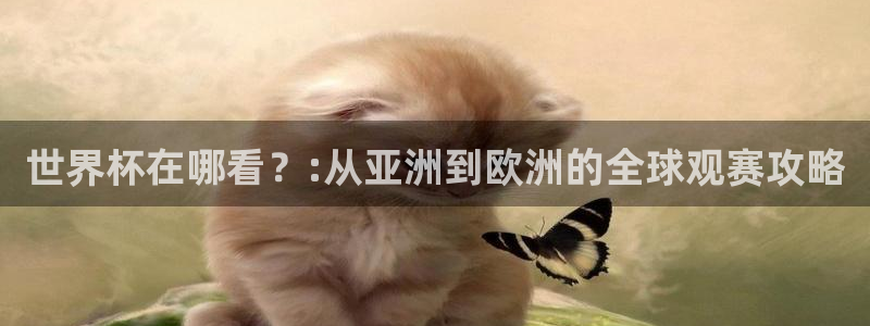 预选赛世界杯:世界杯在哪看?:从亚洲到欧洲的全球观赛攻略