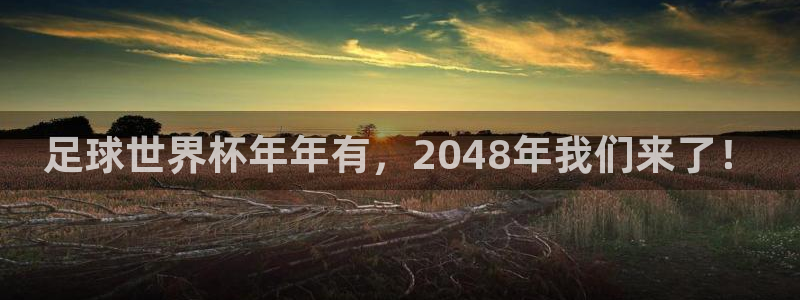 世界杯视频:足球世界杯年年有,2048年我们来了!