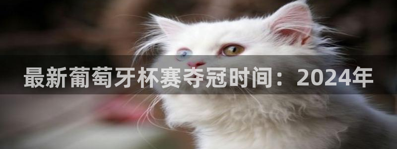 2026年足球世界杯赛程时间表:最新葡萄牙杯赛夺冠时间:2024年