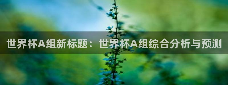 世界杯葡萄牙赛程:世界杯A组新标题:世界杯A组综合分析与预测